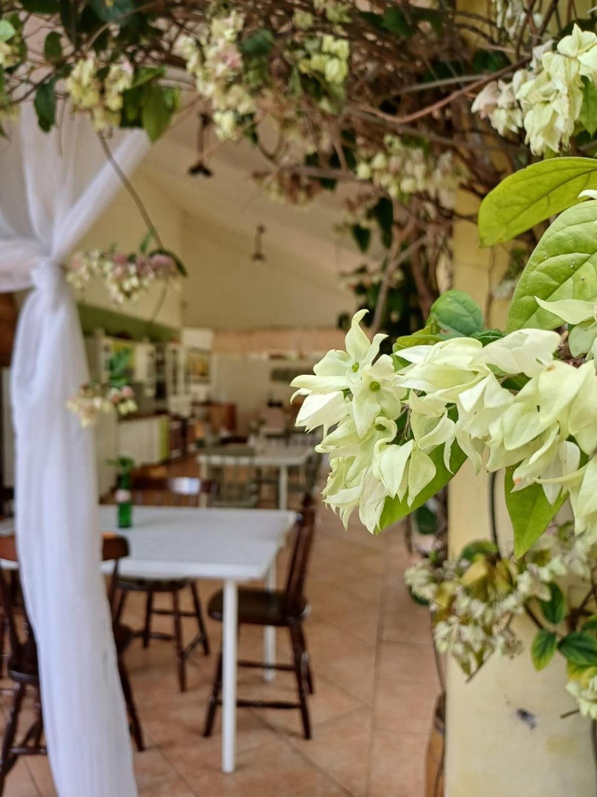 Chacara Rosa Cortiana Bed & Breakfast Sao Gabriel  Exterior photo