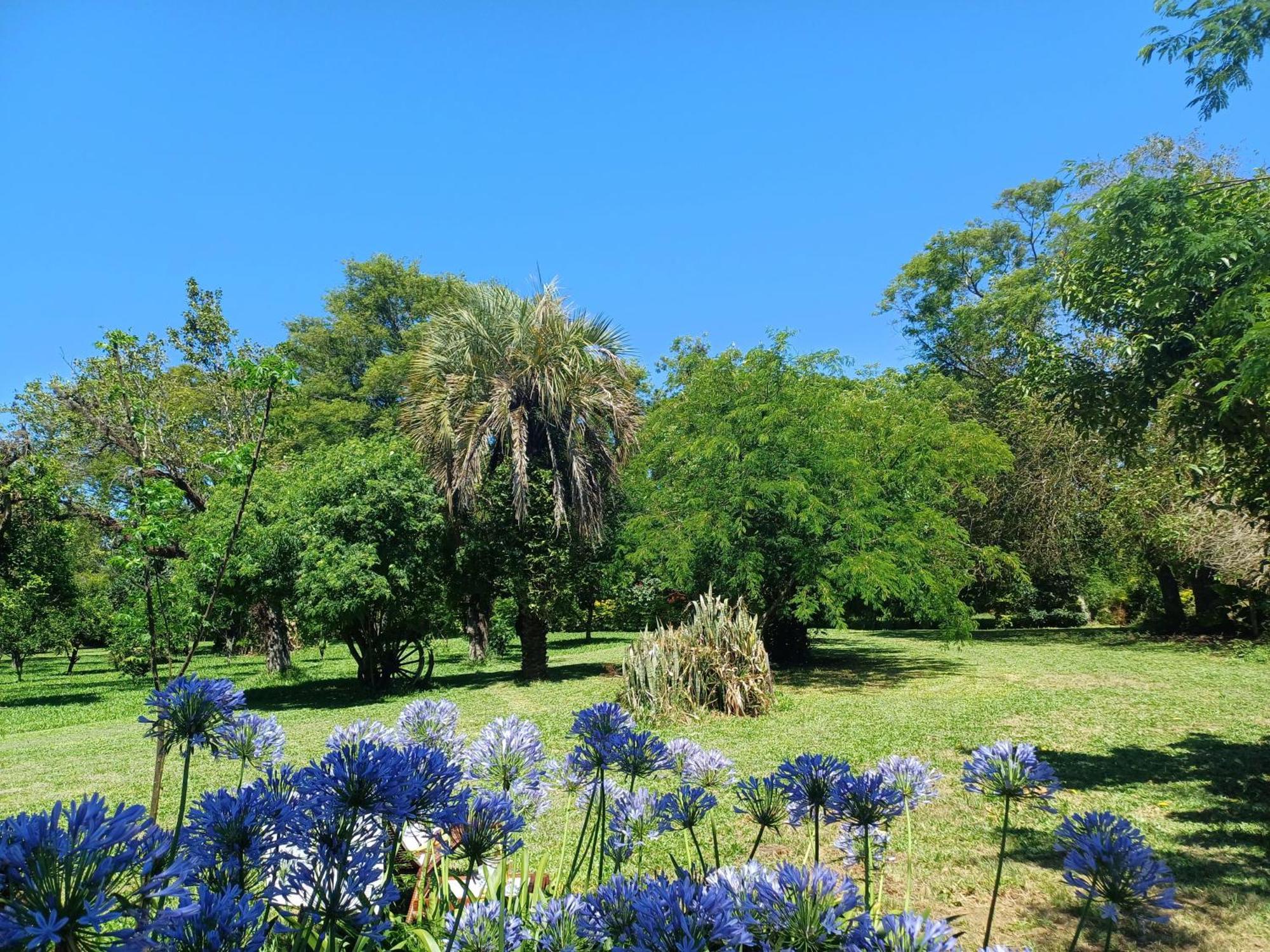 Chacara Rosa Cortiana Bed & Breakfast Sao Gabriel  Exterior photo